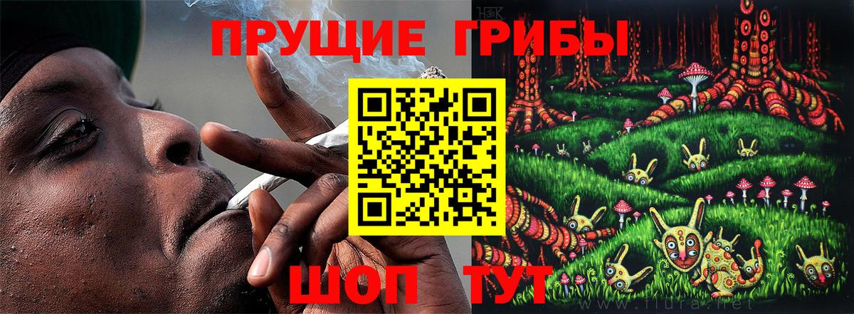 Псилоцибиновые грибы мицелий  Вход с VPN  Рязань 
